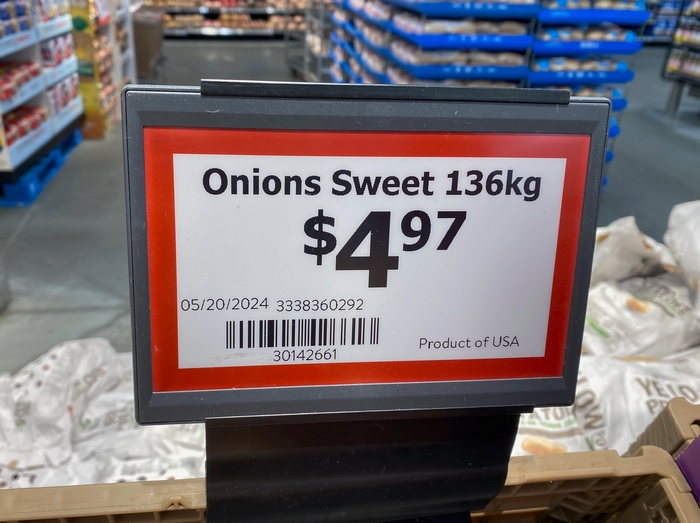 Onion Price