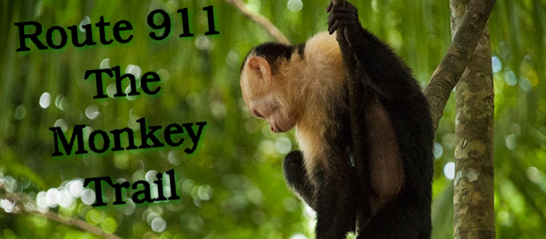Monkey Trail