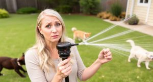 Sprinkler failure